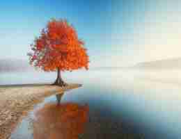 关‍键‌词﻿优‍化‍哪﻿家‌专﻿业‌